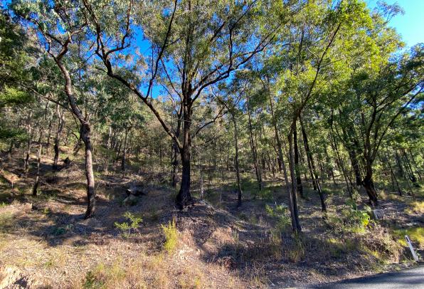 D.A. Approved North Facing 4.5 Acre (approx.) Land,  in the heart of Historic St Albans Village