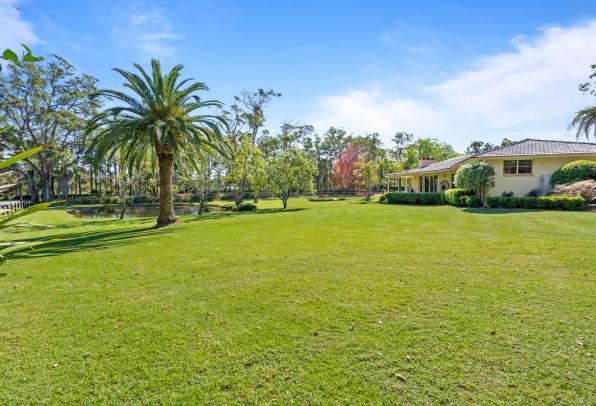 Rare Holding of 3 Titles - Immaculate Home
