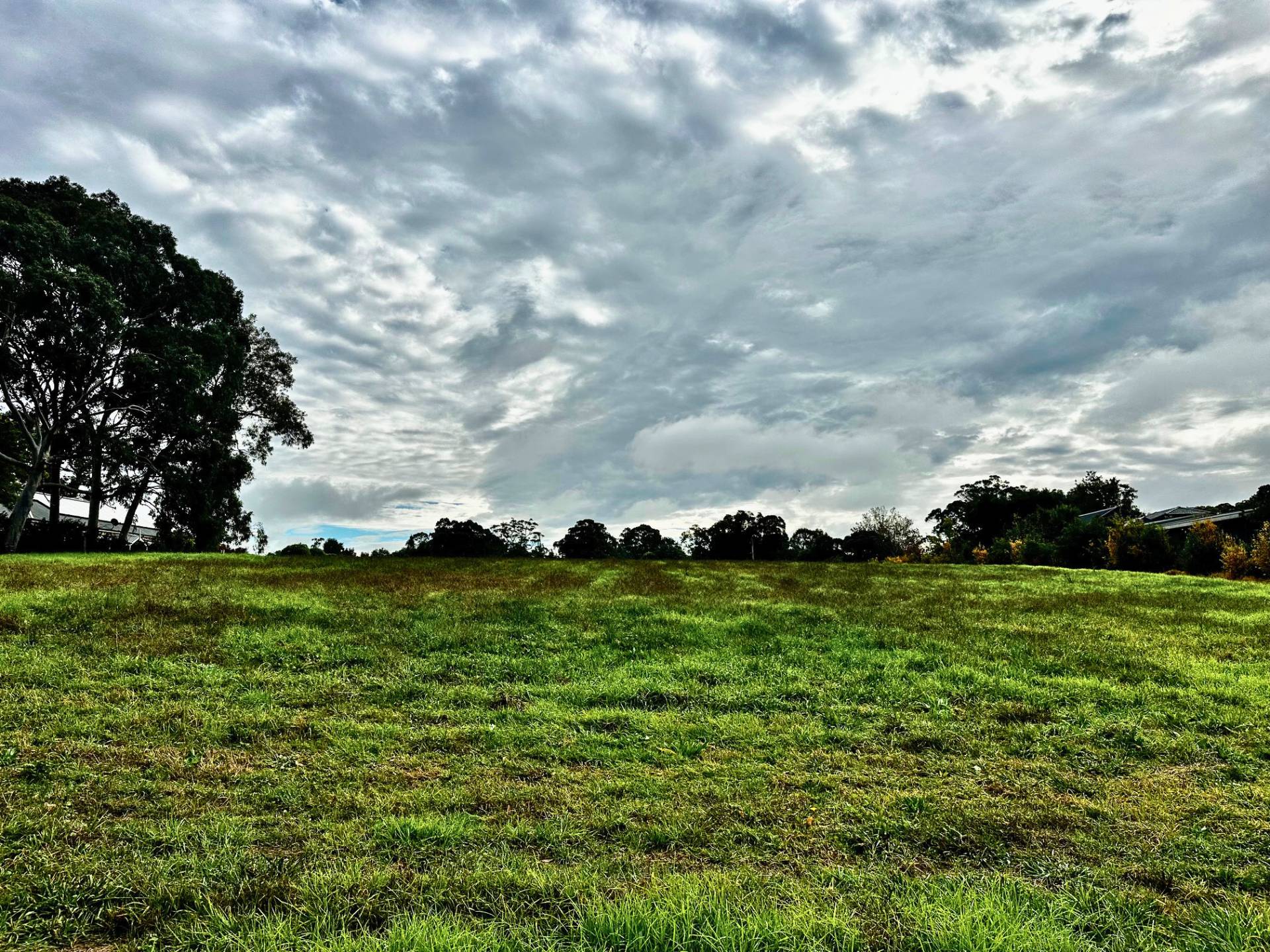 8 Pinus Avenue, Glenorie - Thumbnail 4