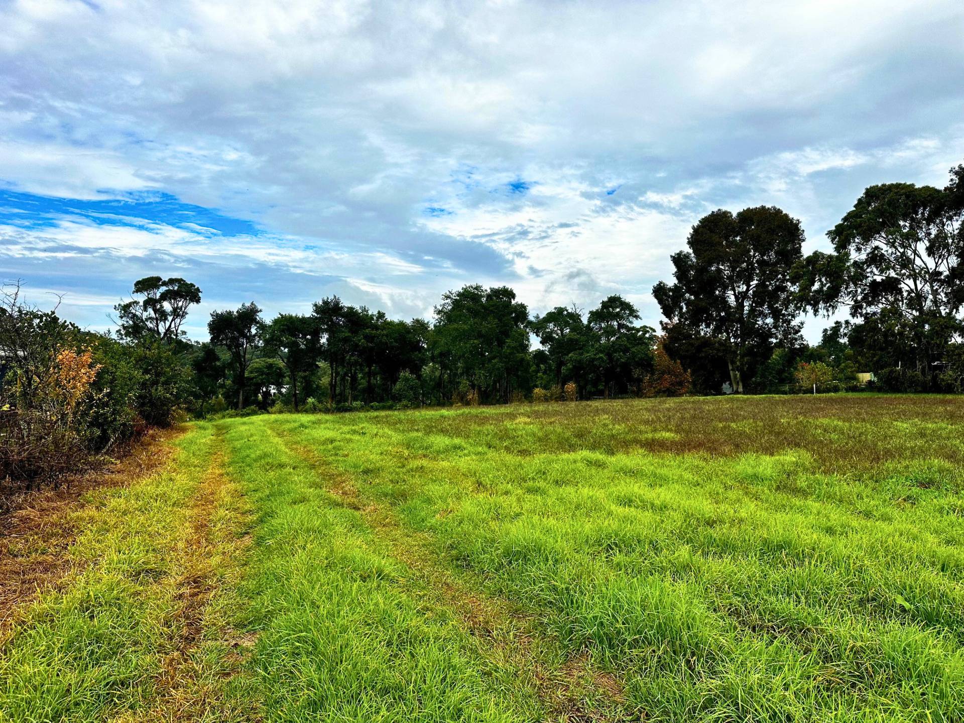 8 Pinus Avenue, Glenorie - Thumbnail 3