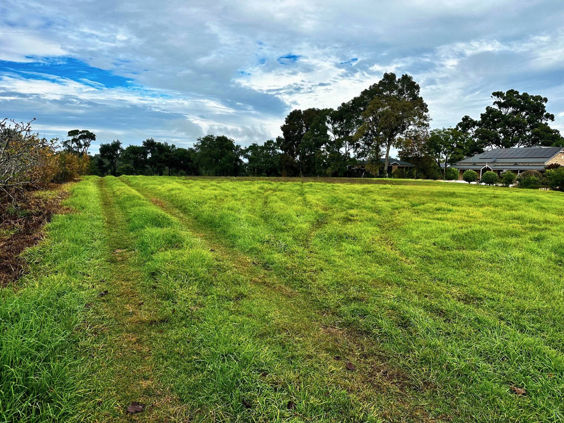 8 Pinus Avenue, Glenorie - Thumbnail 2