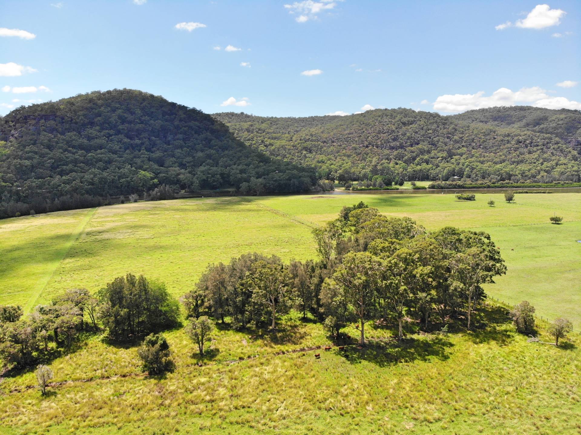 163 St Albans Road, Wisemans Ferry - Thumbnail 4