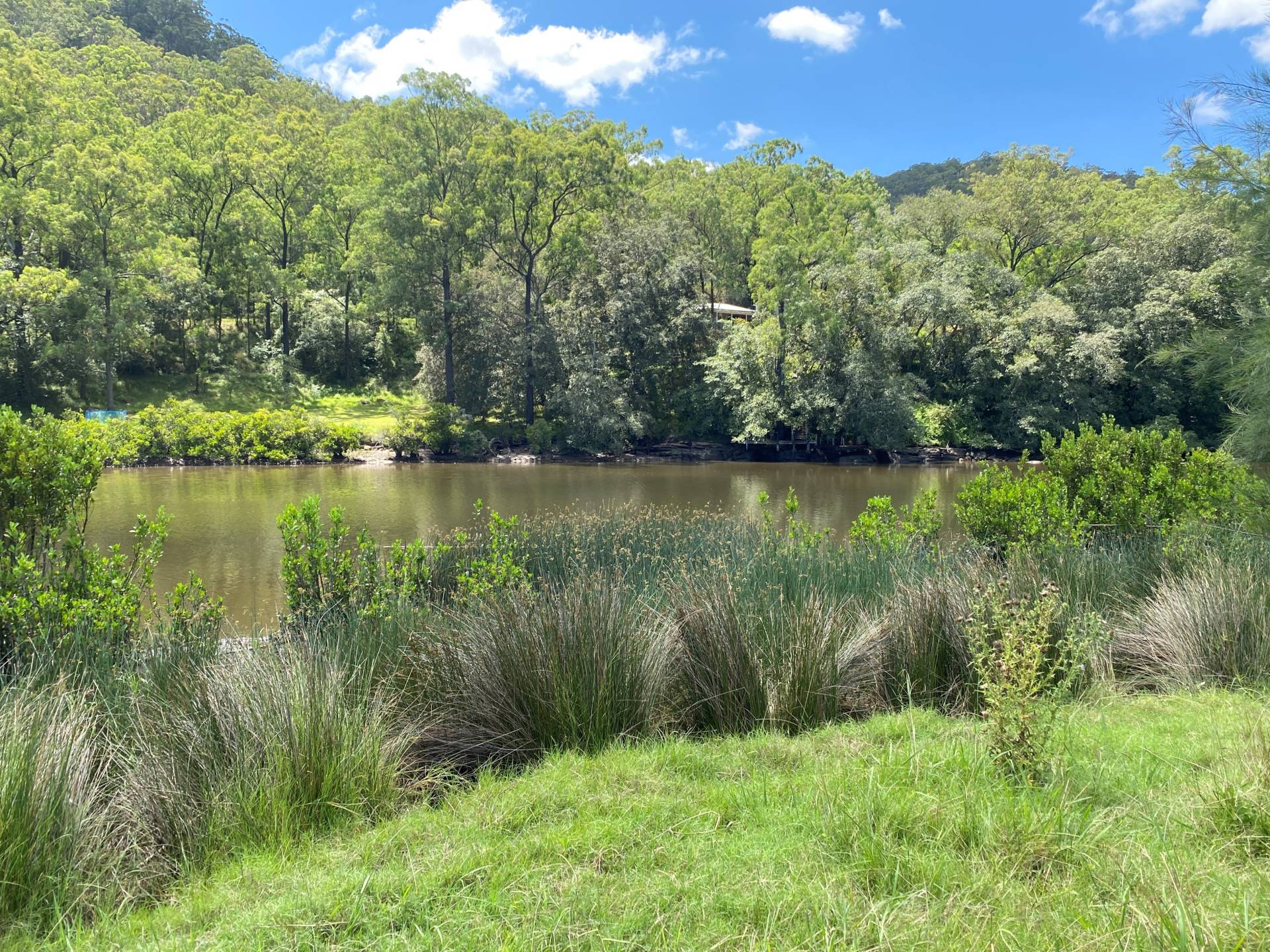 163 St Albans Road, Wisemans Ferry - Image 1