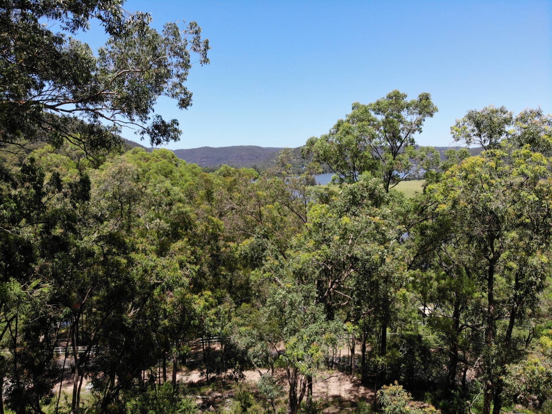 62 Settlers Rd, Wisemans Ferry - Thumbnail 4