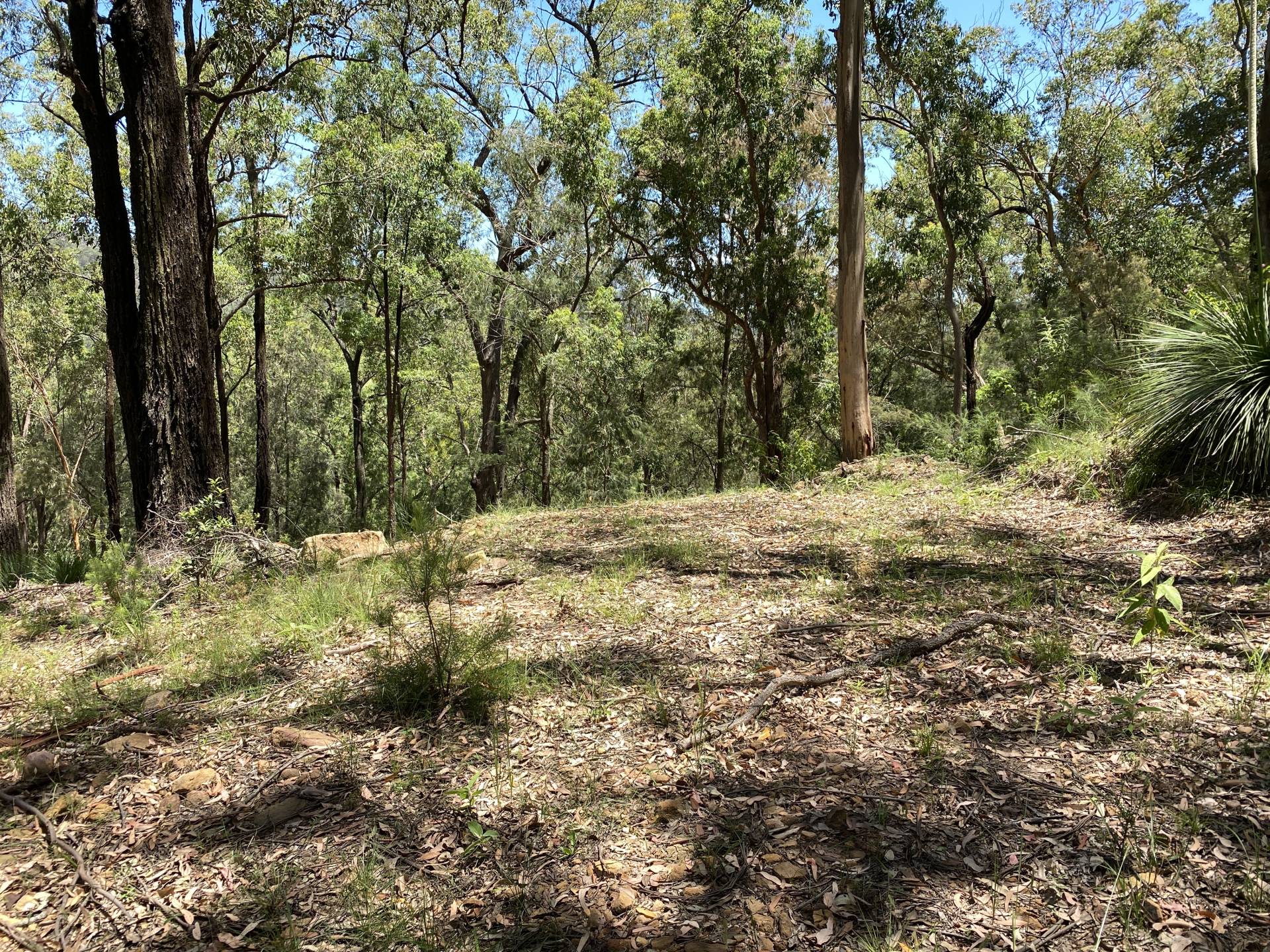 62 Settlers Rd, Wisemans Ferry - Thumbnail 8