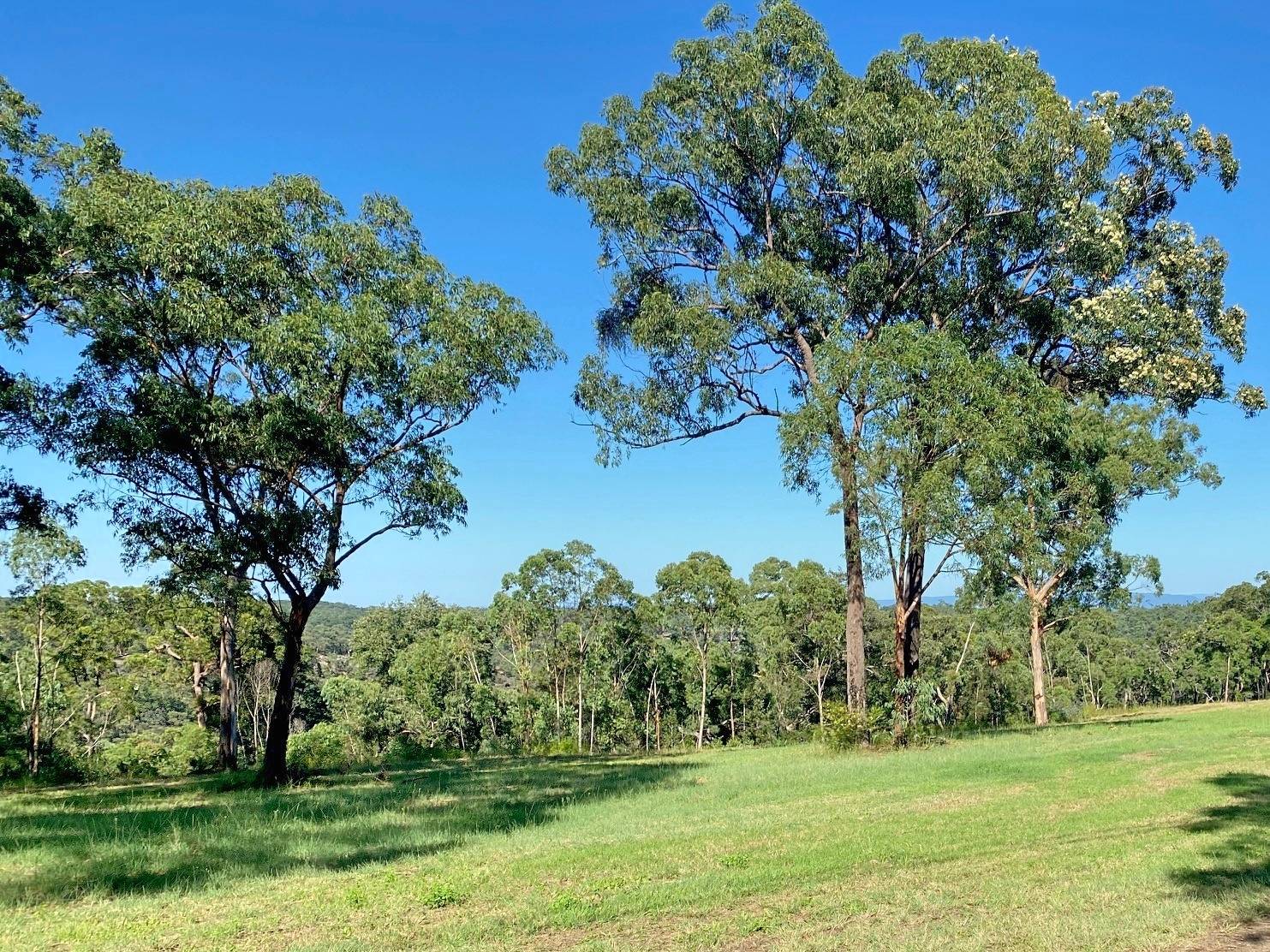 390B Cliftonville Rd, Maroota - Thumbnail 2