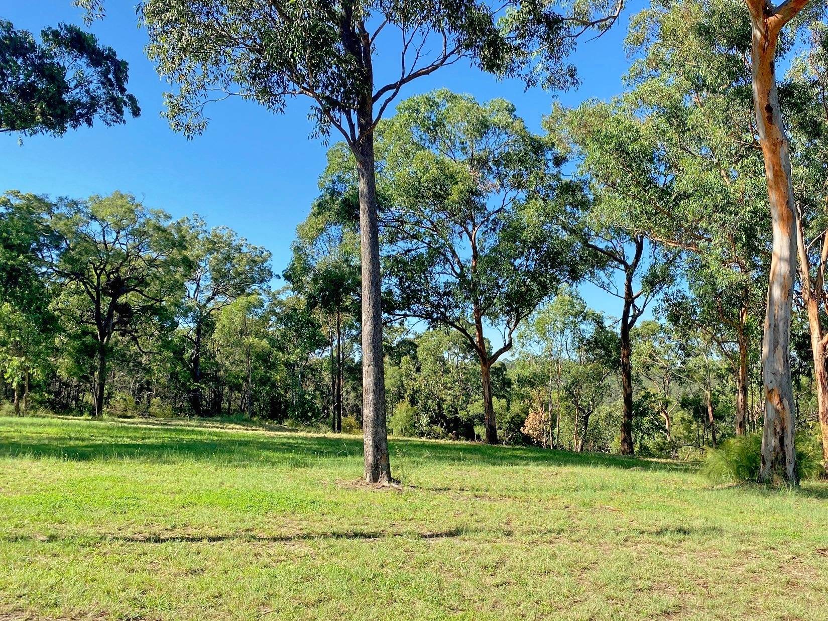 390B Cliftonville Rd, Maroota - Thumbnail 4