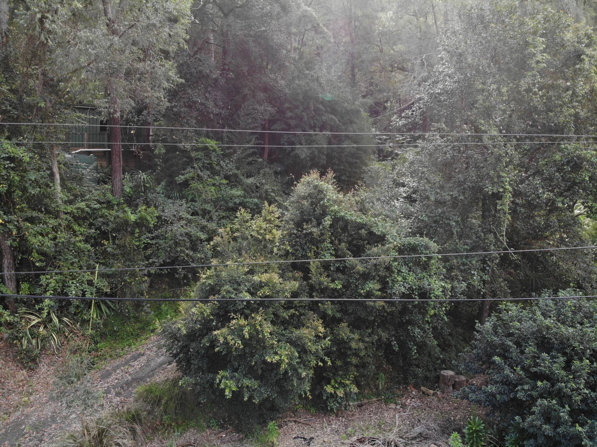 4464 Wisemans Ferry Rd, Spencer - Thumbnail 6