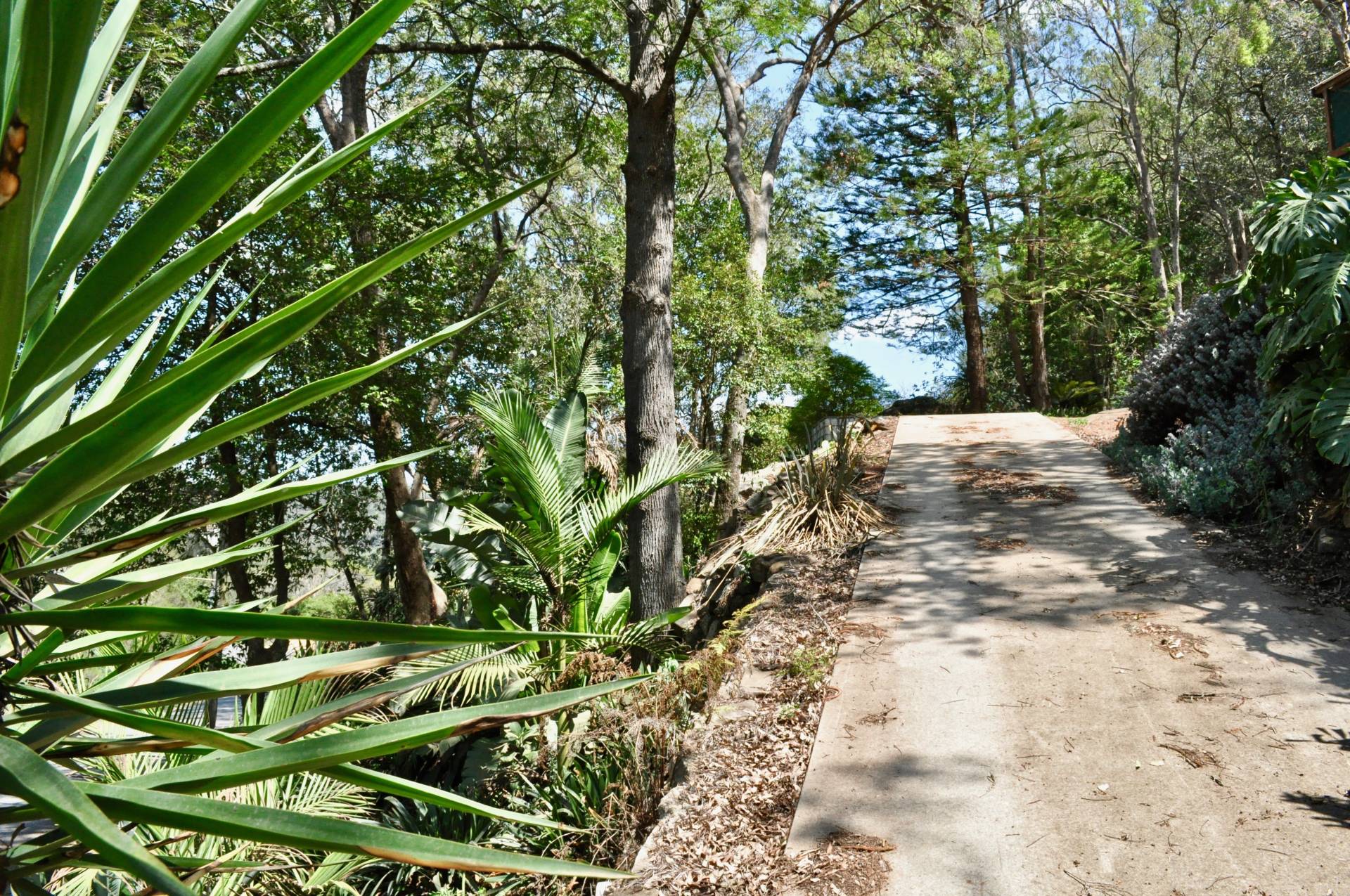 6-8 Webbs Creek Rd, Wisemans Ferry - Thumbnail 6