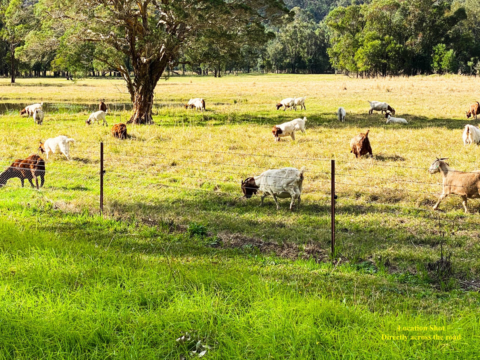 54 Singleton Rd, Wisemans Ferry - Thumbnail 7