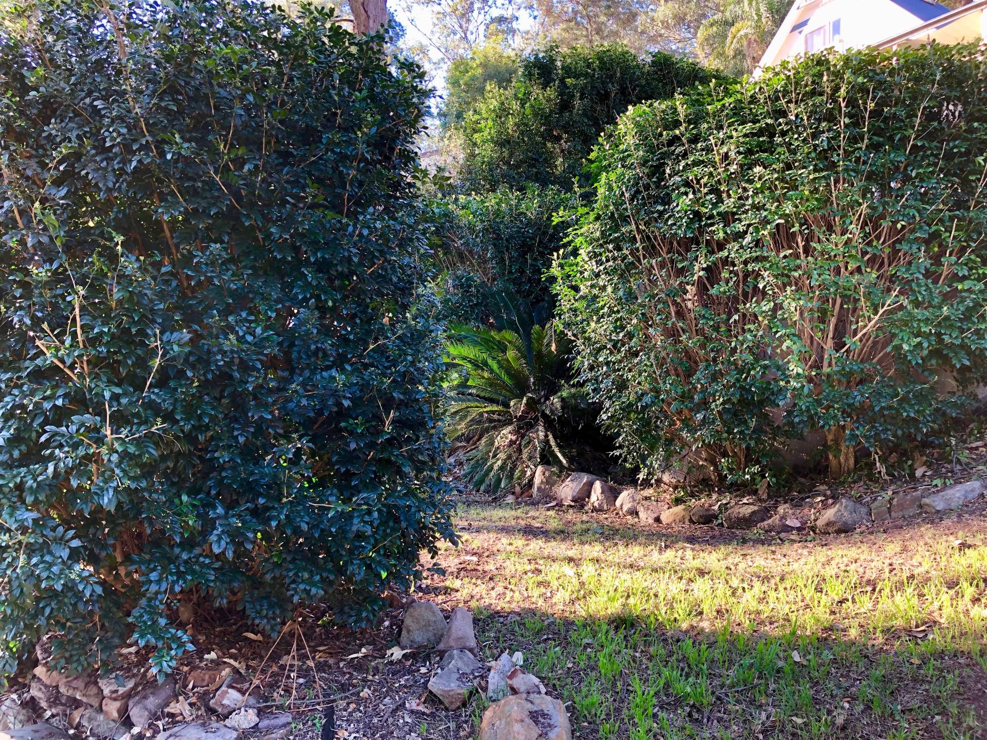 226 Settlers Rd, Lower Macdonald - Thumbnail 7