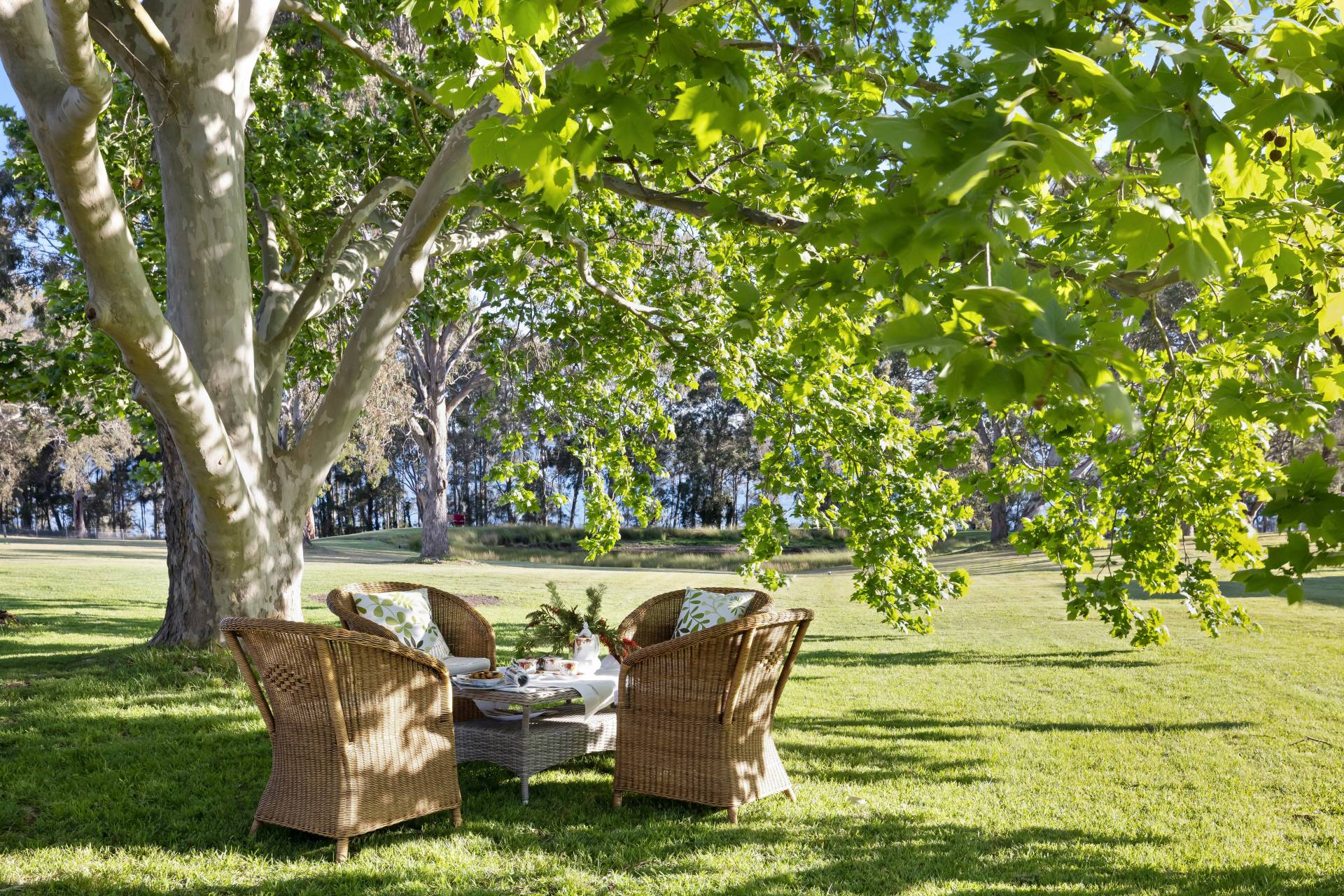 9 Rocky Point Rd, Eraring - Thumbnail 5