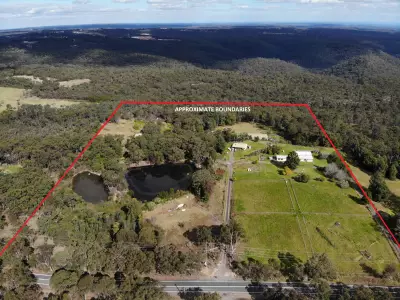 David - Buyer testimonial image