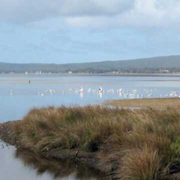 Angelo & Magdalena Italiano testimonial image