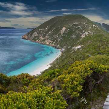 Eve Silvester testimonial image