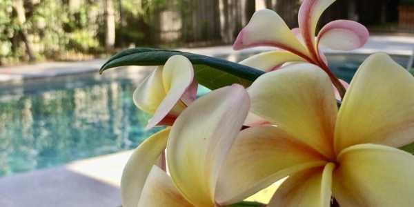 Kate & Evelyn (Southern NSW) testimonial image