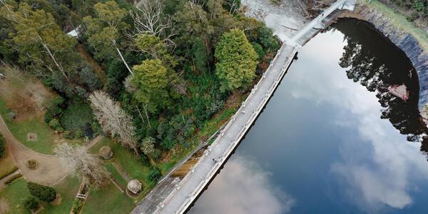 Healesville Suburb Report