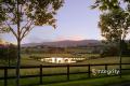Horse Property in the Heart of the Yarra Valley