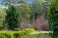 Affordable Country Home - 1.35 Acres - Water Frontage