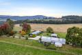 32 ACRES | TOP QUALITY PASTURE, CREEK FRONTAGE