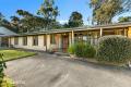  A Quirky Mudbrick on 1237sqm approx..