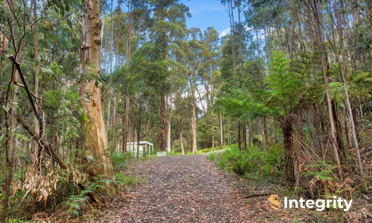 Build Your Sustainable Dream Home on 2.7 Acres With No Neighbours