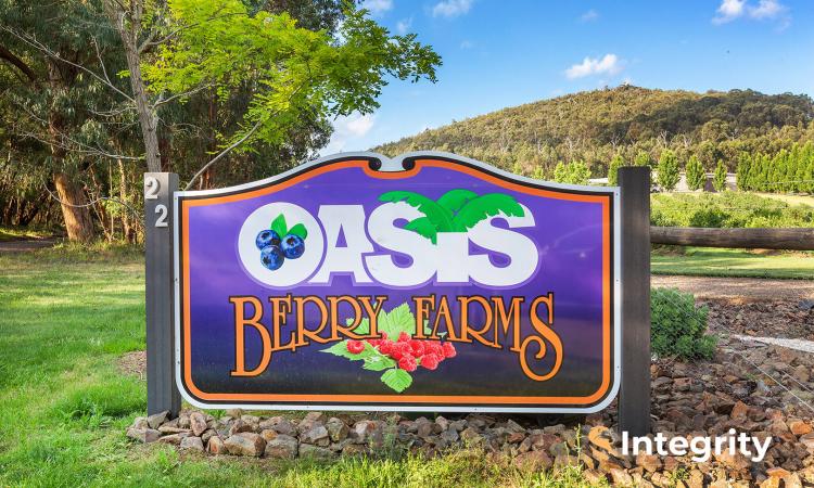 OASIS BLUEBERRY FARMS - EXTRAORDINARY PROPERTY