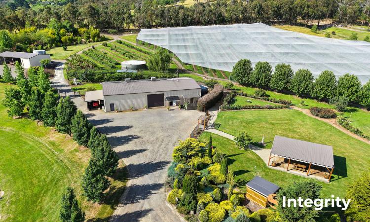 OASIS BLUEBERRY FARMS - YOUR OWN PARADISE