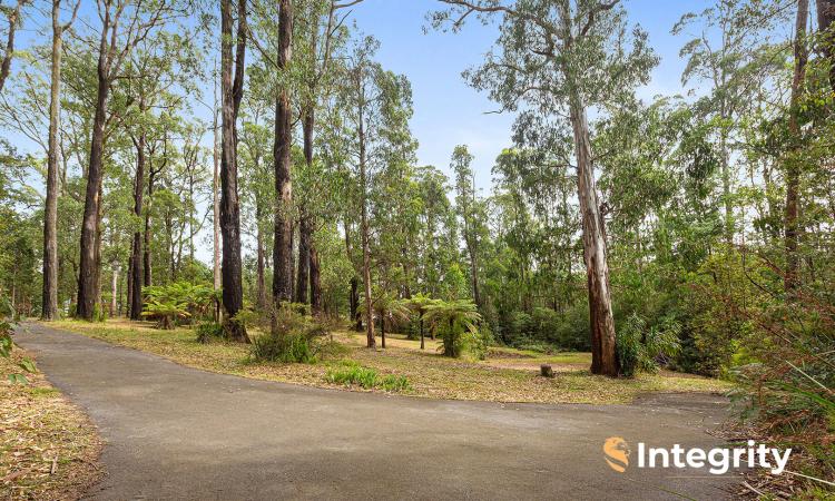 Prime Land Opportunity on 3.11 acres