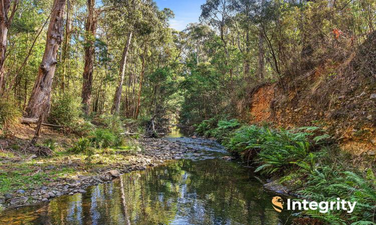Secluded Rural Retreat on 1.6 Acres + FISHING / CREEK