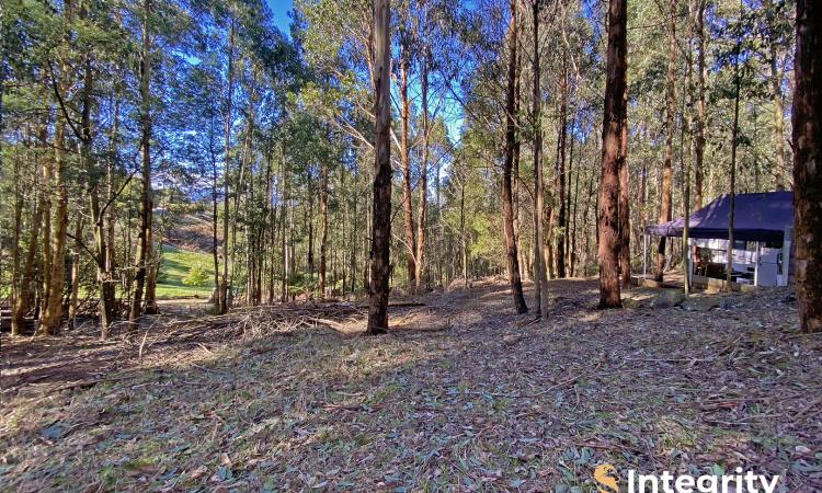 A Place to Pause, Create and Connect with Nature 