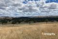 265 acres | 30 lot subdivision