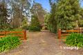 Charming Country Home Just Moments from Kinglake Township 