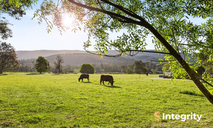 8.5 acre hobby farm in Victoria's adventure heartland