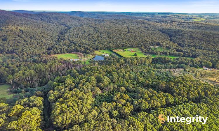 THE GREAT ESCAPE ON APPROX 40 ACRES