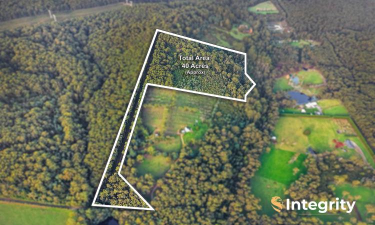 THE GREAT ESCAPE ON APPROX 40 ACRES