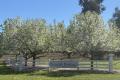 HillTop Farm - Lifestyle Block on Acres