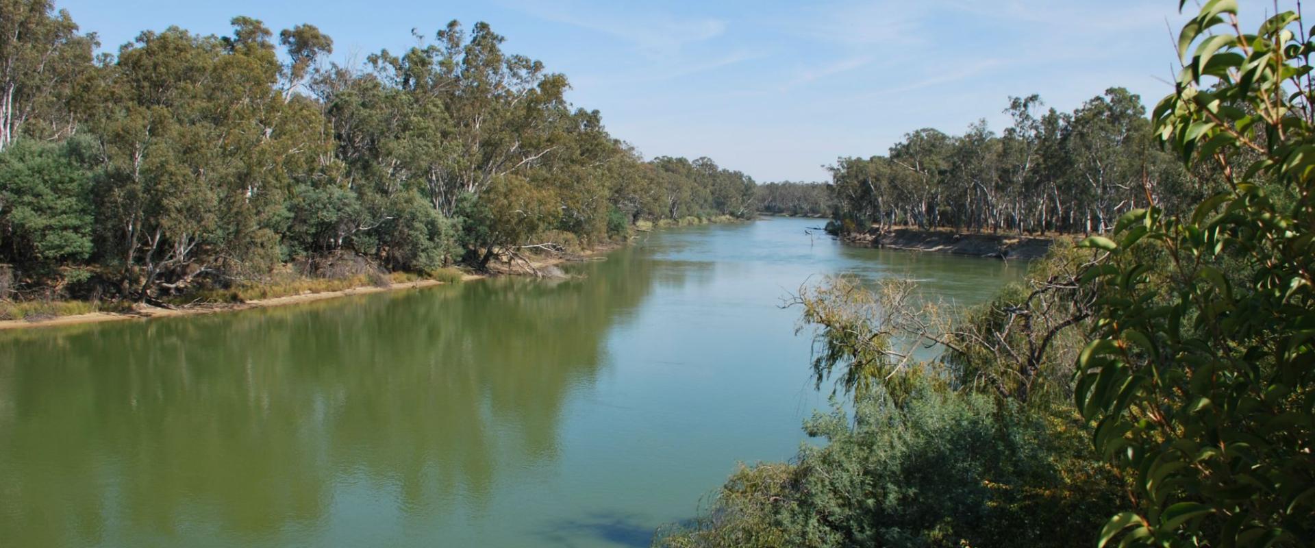Dream Murray River Frontage Home Site Andrew Jenkins & Co Pty Ltd