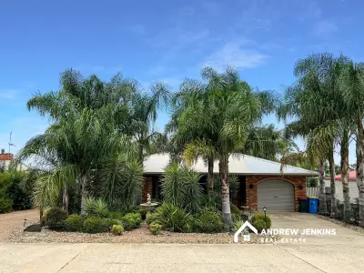 Jan T testimonial image