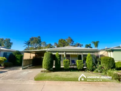 Joyce D testimonial image