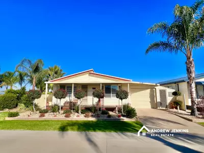 Waybe D testimonial image