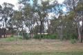 BERRIGAN SHIRE COUNCIL-SALE OF LAND FOR OVERDUE RATES & CHARGES