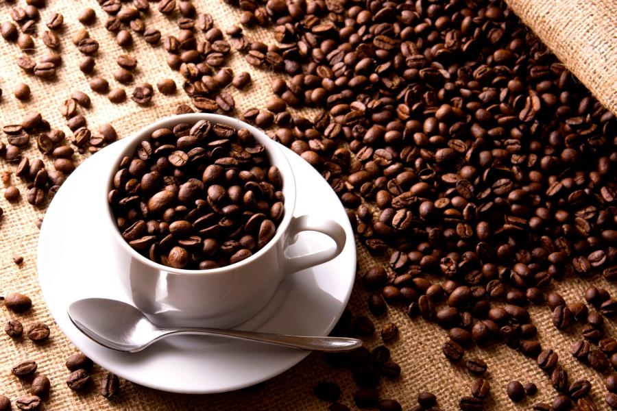 Popular Café for Sale – Prime North Sydney Location
