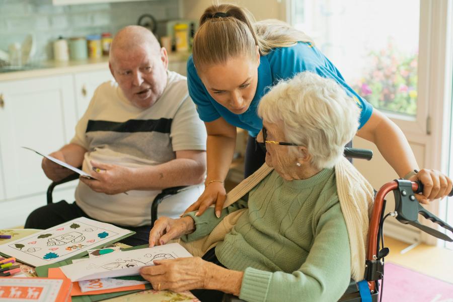 Registered Aged Care and NDIS Provider, Two Established NSW Territories, Offered by EOI