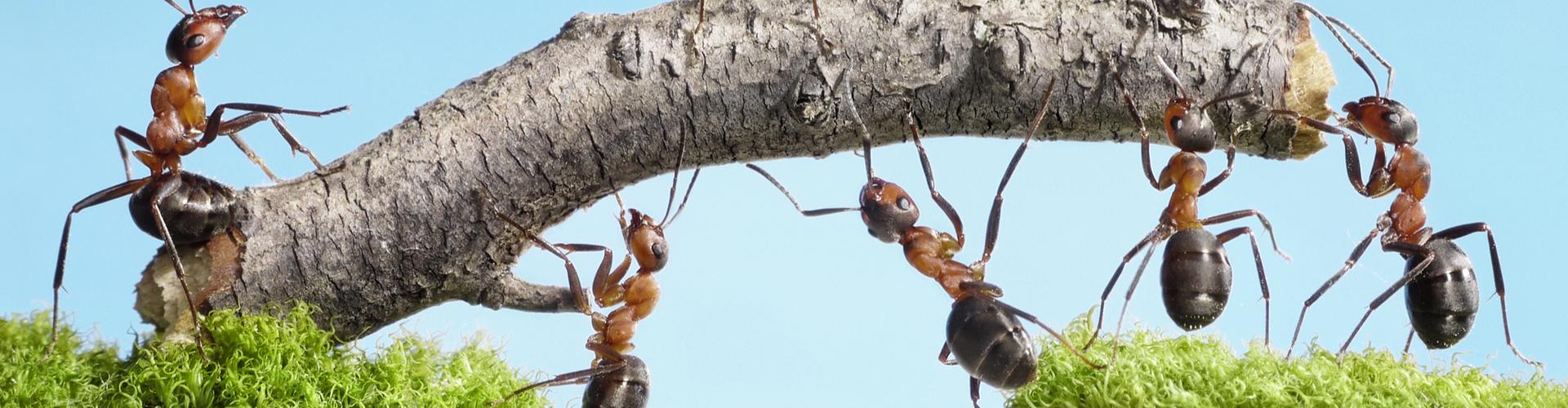 Kairos Property Group Kairos Project Management