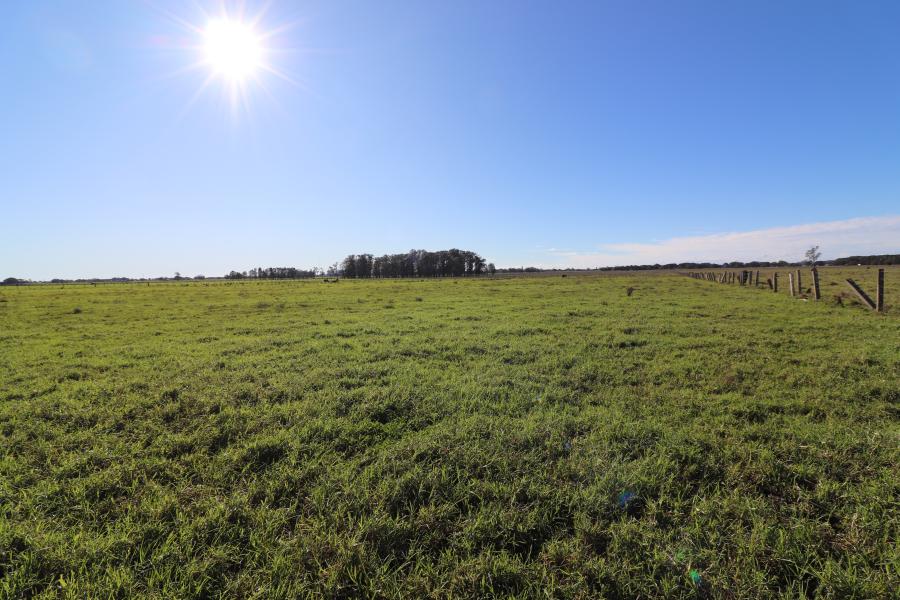 70 Acres At Austral Eden