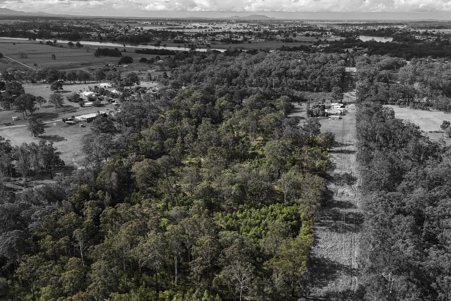 The Perfect Blank Canvas on 5 Lots
