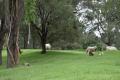 Ballymore: Premium Location, Fertile Opportunity