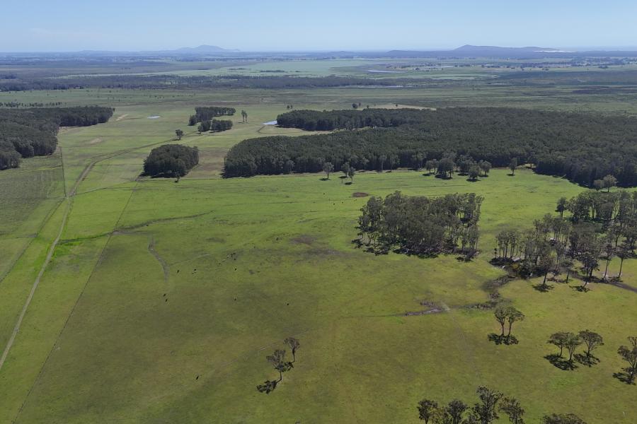 Crescent Head Acreage