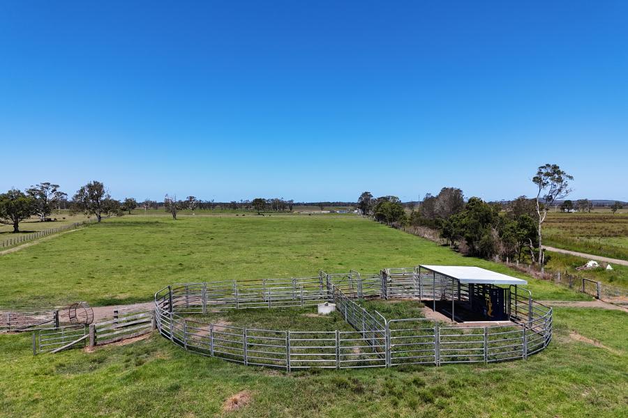 Gladstone Fattening Paddock
